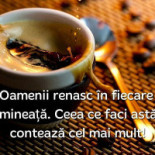 Dines Parcul Carol Boisson