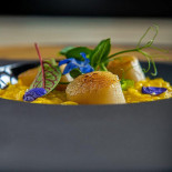 Casa Românească Bebida