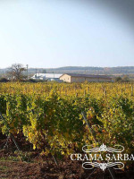 Delicatese Florescu Extérieur