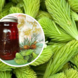 Delicatese Florescu Bebida