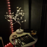 Delta Craft Beer Taproom Boisson