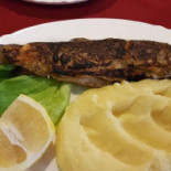 Business Land Comida