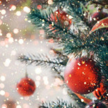 Business Land Bebida