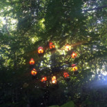 Ceainaria Infinitea Extérieur