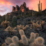 Caffe Italia Extérieur