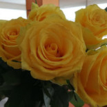 Hotel Turist Boisson