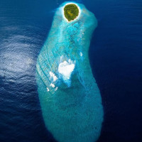 Principesa Margareta Bebida