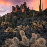 Restaurant Medieval Extérieur