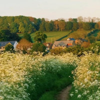 Casa Romaneasca Exterior