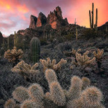McGowans Irish Pub Extérieur