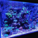 Gatto Cafe & Lounge À l'intérieur