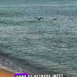 Povestea Ceaunului Extérieur