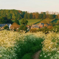 McDonald's Extérieur