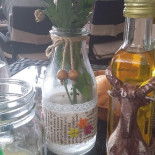 Casa Oprescu Boisson