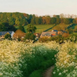 Apropo Cafe Exterior