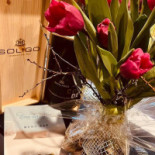 Ema Del Mar Arad Boisson