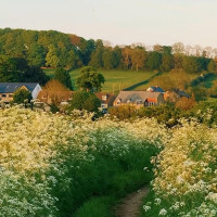 Curtea Veche Extérieur