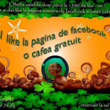 Fane Pub Băutură