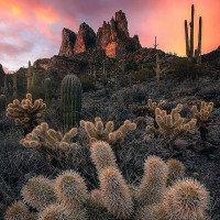 Old Lisbon Sibiu Extérieur