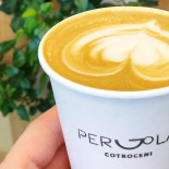 Pergola Cotroceni Bebida