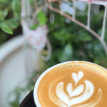 Pergola Cotroceni Bebida