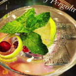 Pergola Cotroceni Bebida