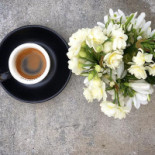 Pergola Cotroceni Bebida