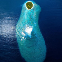 Darius Pizza Boisson