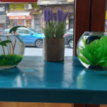 Tzunami Caffe Bebida