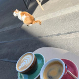 Oma Coffee Shop Băutură