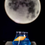 The Owl Cocktail House Băutură