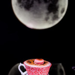The Owl Cocktail House Băutură