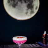 The Owl Cocktail House Băutură