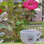 The Coffee Shop Constitutiei Băutură