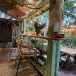 Bacania Veche Romana Delicatese Gradina În interior