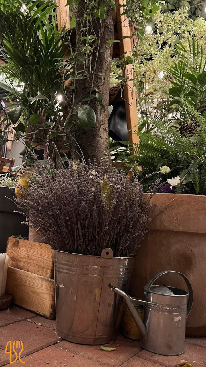 Bacania Veche Romana Delicatese Gradina În interior