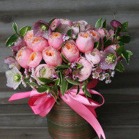 Casa Dragonului Boisson