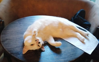 Time Out Cafe Boisson