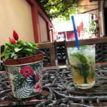 Provence Iancului Boisson