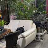 Gili Pizza Extérieur