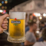 Cetatea Berarilor Boisson