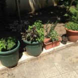 Maccheroni Bistro Exterior