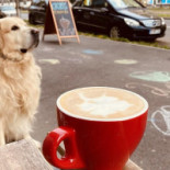 God's Coffee Băutură