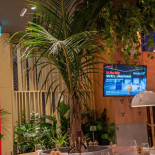 Trickshot Afi Cotroceni Dentro