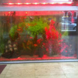 Fast Food Zen Extérieur