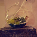 Snakes & Wizards Bebida