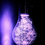 Snakes & Wizards Bebida