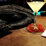 Snakes & Wizards Bebida