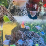 Sushi Terra Extérieur