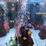 Sushi Terra Exterior